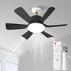 Socket Ceiling Fan Light with Remote and 1 Socket Extender,