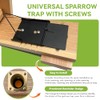 House Sparrow Trap, Replacement for Van ERT Universal Sparrow Trap