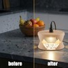 2026 Flea Traps for Inside Your Home 4Pack Flea Light