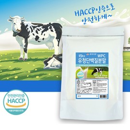 Whey Protein Powder Protein Whey Protein Large Capacity 500g 4 Packs / 유청단백분말 프로틴 유청단백질 대용량 500g 4팩