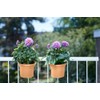 Elho Green Basics Potholder Allin1 Metal Planter, Mild Terra, 27