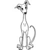 'Italian Greyhound' Rubber Stamp - Unmounted Design for Crafting &