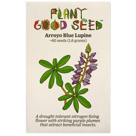 Plant Good Seed Arroyo Blue Lupine Seeds - Pack of 60, Heirloom Seeds for Planting Flowers - Gardening Supplies, Wildflower, Herb Garden, Flower Seeds to Plant Outside - from USA
