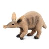 Aardvark by Safari