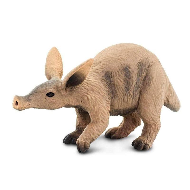 Aardvark by Safari