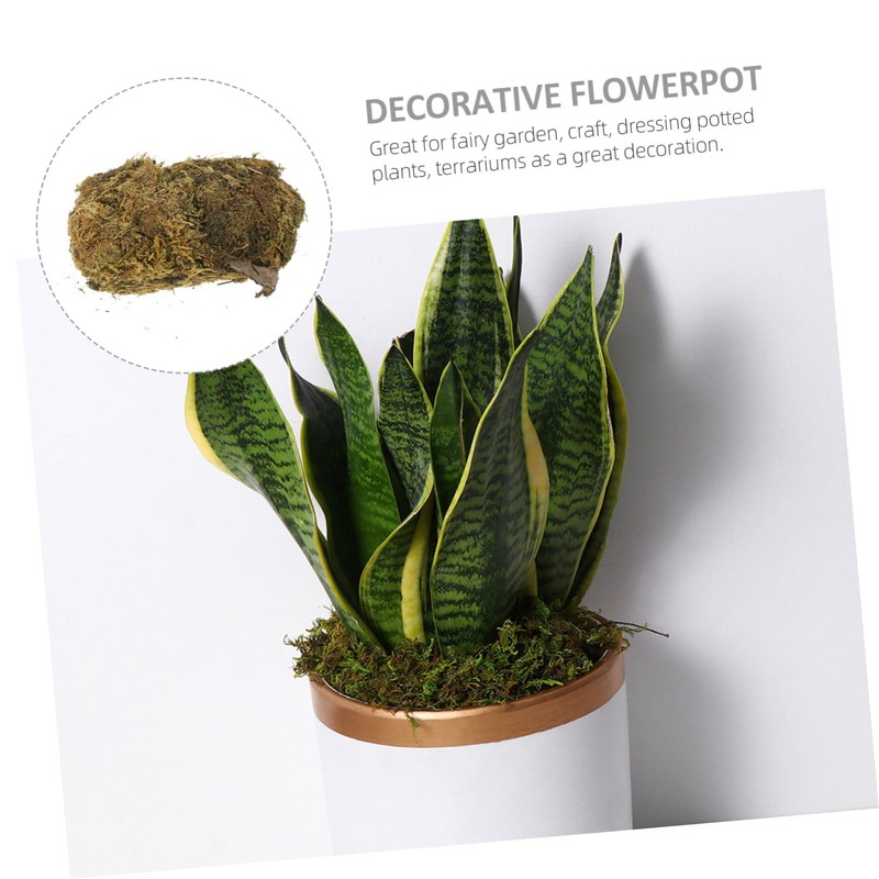 Operitacx Vivid Artificial Moss for DIY Moss Projects Decorative Terrarium