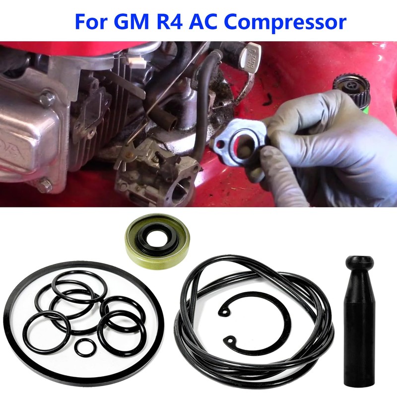 BIGLKNM Reseal Kit for GM R4 AC Compressor Includes Seal