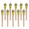 AUTOKAY 10PCS Stem HVAC AC Schrader System Vacuum 1/4" SAE