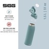 SIGG - Stainless Steel Drinking Bottle - Shield ONE Morning
