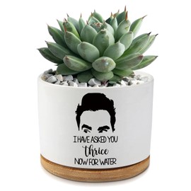 AKAQCHANG I Have Asked You Thrice Now for Water Ceramic Succulent Planter Pot with Drainage,Funny Plants Pots Schitts Merchandise Gifts,for Women Mom Plant Lovers Gifts,3.5 inch(Plant Not Included)