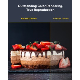 RALENO 116 LED Kamera Video Licht, 12W 600Lux Videoleuchte mit Mini-Stativ und Eingebauter 4000mAh Akku CRI95+ 3200-5600K, USB Videolicht für YouTube TikTok Zoom Fotografie Konferenzen Live-Streaming