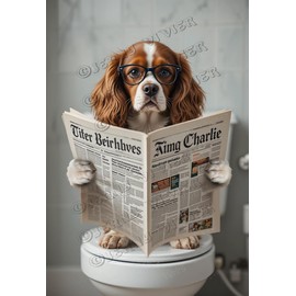 Cavalier King Charles Spaniel Dog Decor for Lover Dog Read A Newspaper On The Toilet Aluminum Sign Dog decor Funny Dog Bathroom Sign Toilet Decor 5.5x8 inches