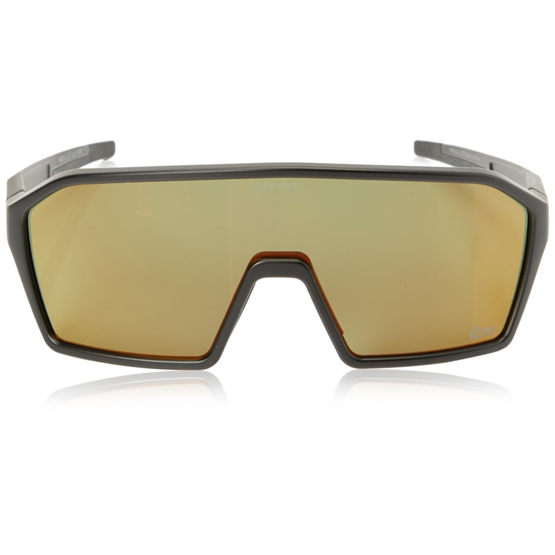 ALPINA Unisex RAM Q-LITE Sunglasses, Black/Green Matt, One Size, Black-green