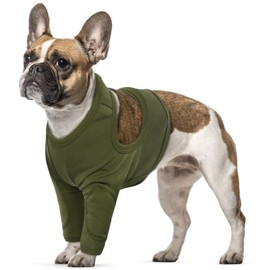 Recovery Suit Dogs, Healing Suits for Small Dogs, Recovery Suit, Puppies, Dogs, Body Surgery, Anti-Licking Vest, Dog Surgical Suit (Army Green, S)