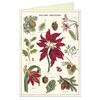 Cavallini Papers Christmas Botanica Boxed Notes, Multicolor