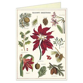 Cavallini Papers Christmas Botanica Boxed Notes, Multicolor