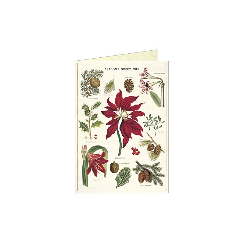 Cavallini Papers Christmas Botanica Boxed Notes, Multicolor