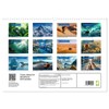 Crazy ideas for adventure enthusiasts (Wall Calendar 2026 DIN A3