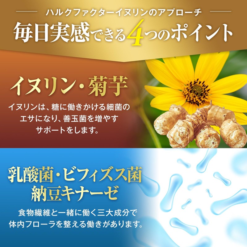 業界最高水準量 イヌリン 65,500mg 水溶性 食物繊維 大容量 300粒 国内製造 ナットウキナーゼ 菊芋