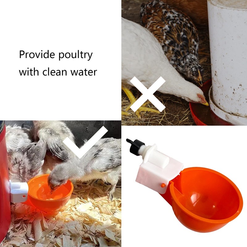 Fayemint Pack of 6 Chicken Drinkers, Automatic Poultry Drinkers, Plastic