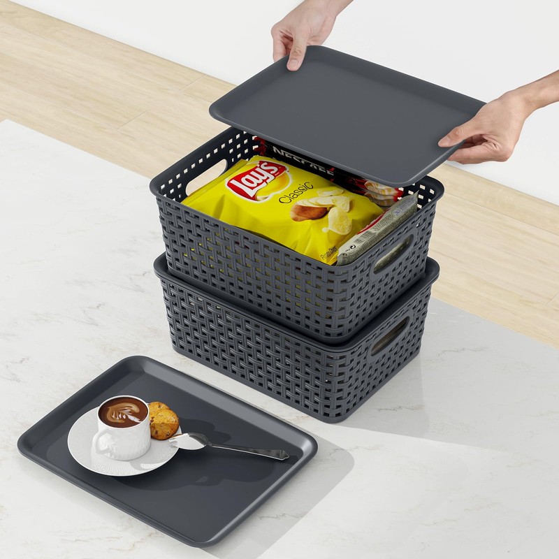 Xyskin Plastic Storage Baskets with Lids, Set of 6 Small