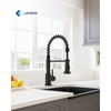 LUFEIDRA Black Kitchen Faucets with Pull Down Sprayer - High