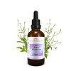 Genuine Verbena Tincture, 50 ml, Verbena Officinalis Drops (1:4 Extract),