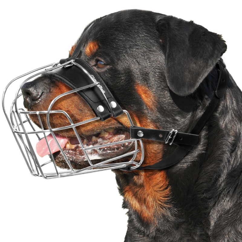 CleverTail XL Metal Dog Muzzle for Large Sized Dogs –