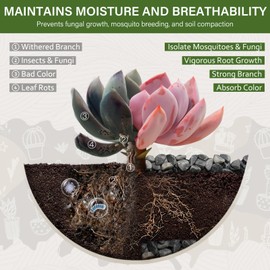 NUPICK 3 lbs Pebbles for Indoor Plants, 3/8 Inch Pea Gravel for Fish Tank, Decorative Rocks for Succulent, Natural River Stones for Vases, Cactus, Landscaping, Bird Bath, Aquarium, Grey