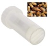 Queen Bee Marking Cage, Marking Marker Cage Bottle Bee Catcher