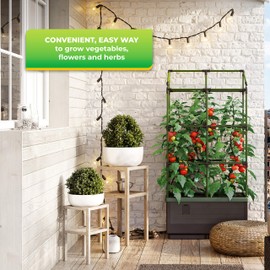 BioGreen Trellis for Raised Garden Bed with Watering System City Jungle | 12“L x 24“W x 38“H | Ideal Growth for Climbing Plants | Easy to Assemble
