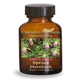 SPRUCE HEMLOCK Essential Oil (5 mL Euro Dropper) - 100% PURE Therapeutic Grade Essential Oil - Tsuga Canadensis - Essential Oil By Oakland Gardens