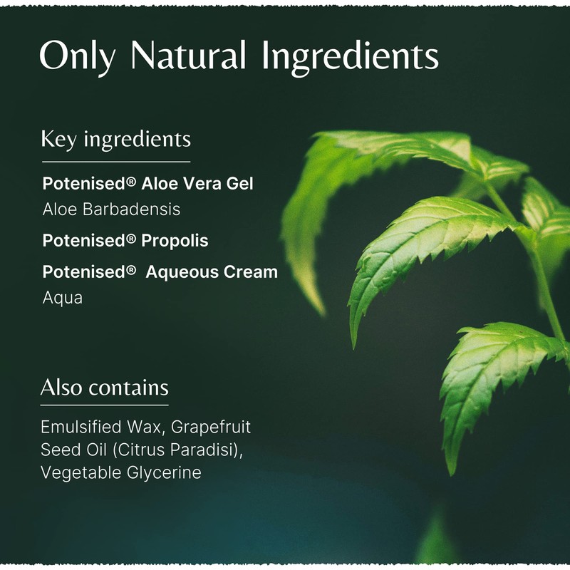 Mistry's Aloe Vera Propolis Cream 50g - Healing & Moisturising,
