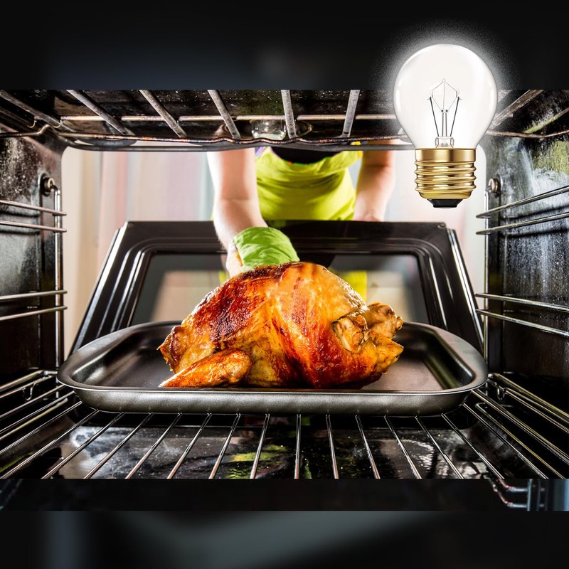 Visther 40W G45 Oven Light Bulbs, 300°C High Temp, for