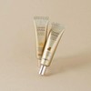 Skin79 [스킨79]골든 스네일 인텐시브 아이크림 35g [SKIN79] Golden Snail Intensive