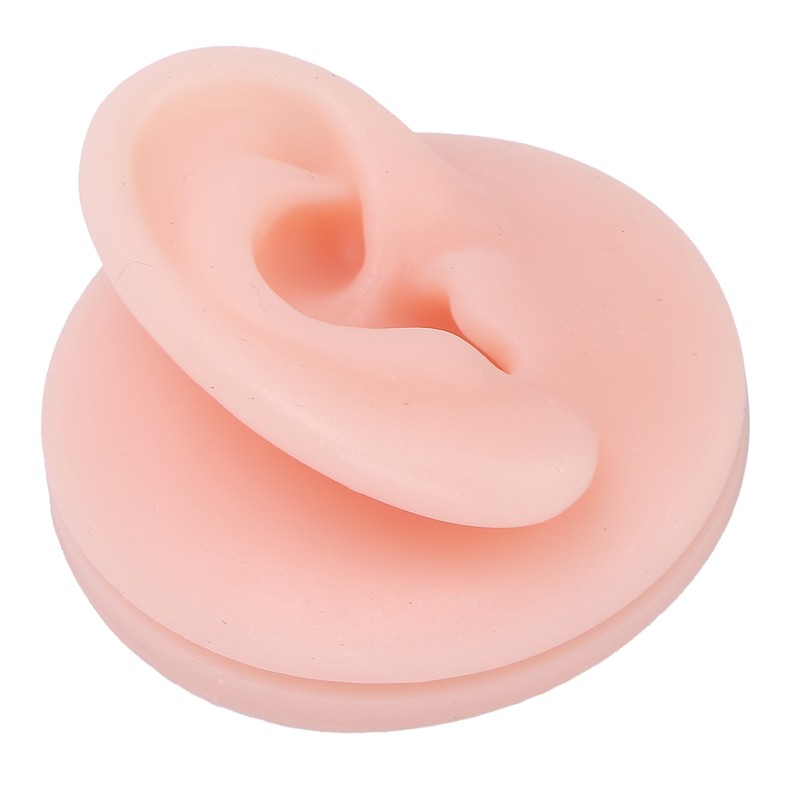 Professional Soft Silicone Ear Model Fake Ear Display Sample Ear