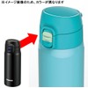 Peacock stainless steel bottle wantattimagu 0.4l Matte Black Amy –
