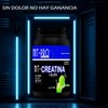 Suplemento Creatina Glutamina Nit-pro 1kg En Polvo Sabores