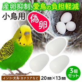Fake Eggs, 3 Pieces, Approx. 0.8 x 0.5 inches (20 x 13 mm), Small Birds, Parakeets, Pigeons, Bundoves, Swap Eggs