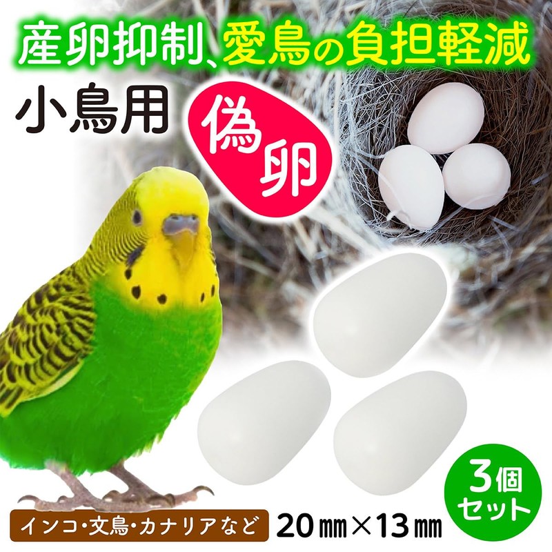 Fake Eggs, 3 Pieces, Approx. 0.8 x 0.5 inches (20