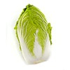 Chinese Cabbage Seeds - Matsushima No. 2-2 g Packet ~620