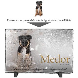 [Customisable: Photo & Text] Your Dog Fall Ornament 22/12cm