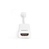 Assmann DIGITUS CAVO ADATTATORE DISPLAYPORT MINI DP HDMI 15CM