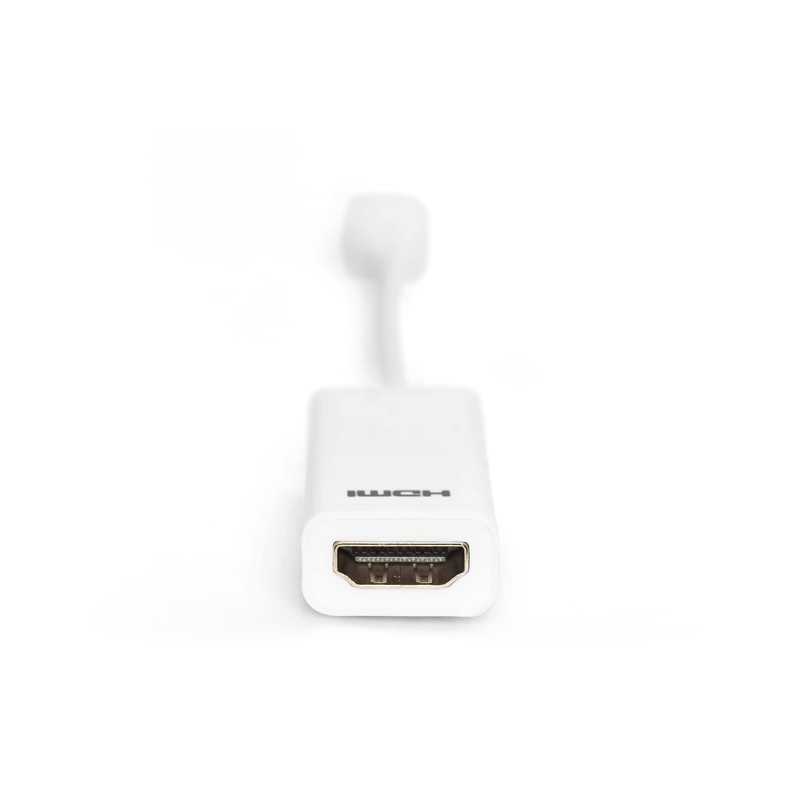 Assmann DIGITUS CAVO ADATTATORE DISPLAYPORT MINI DP HDMI 15CM