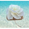 Biodegradable Water Burial Urn Kit - Cruise Approved | Ocean