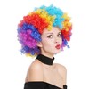 WIG ME UP - PW0011 Afro Wig Afro 70s Rainbow