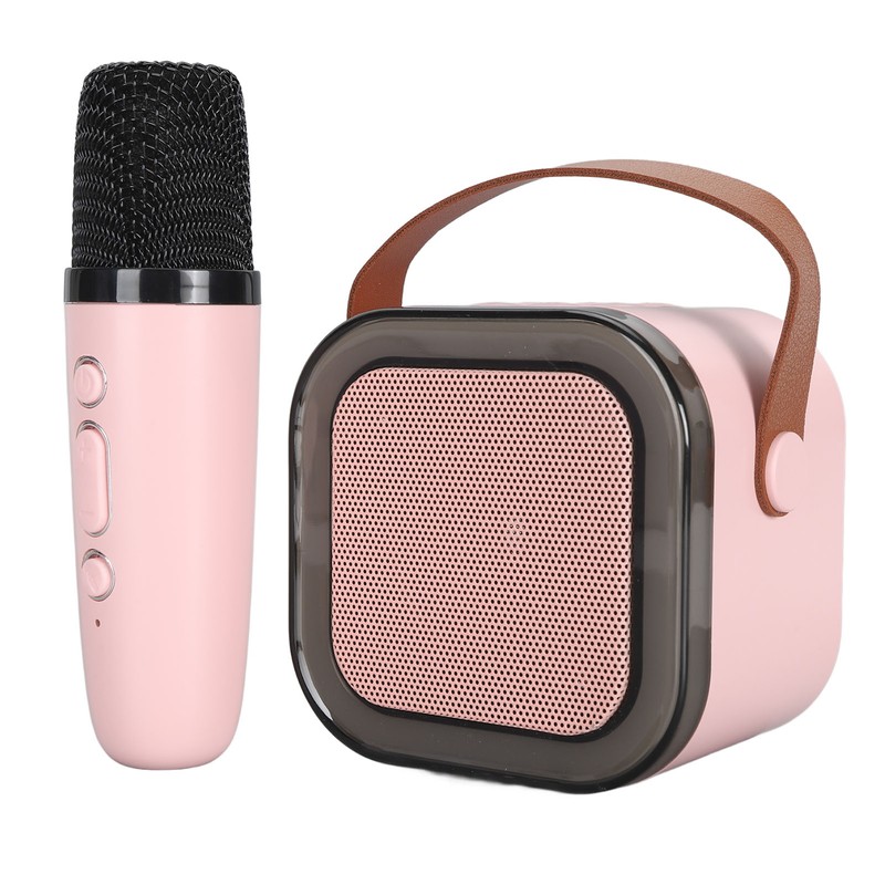 Portable Karaoke Machine LED Dynamic Light Small Bluetooth Speaker with