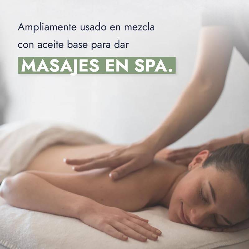 Hebbe - Aceite Esencial de Eucalipto 100% Puro, Calmante y
