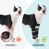 Allroaring Dog Front Leg Elbow Brace for ED, Joint Support