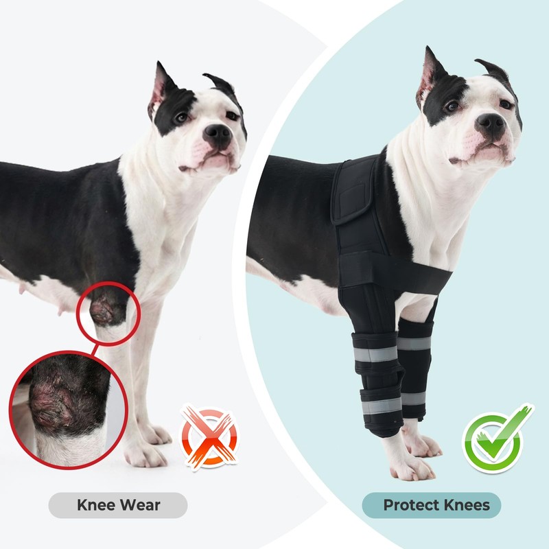 Allroaring Dog Front Leg Elbow Brace for ED, Joint Support